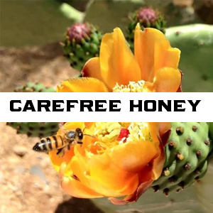 Carefree Honey